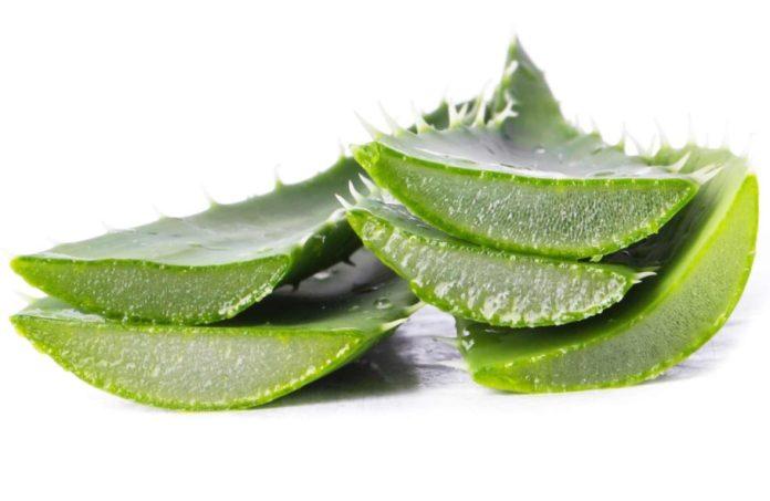 face cream for dry skin