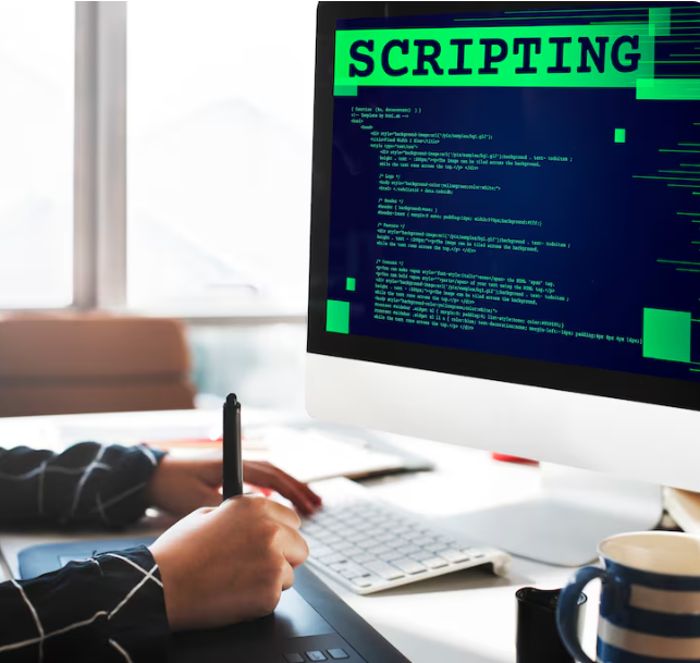 Web application penetration testing